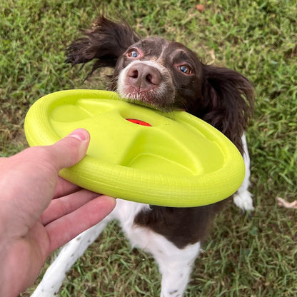 Harley Flyer Frisbee - The Snag Bin