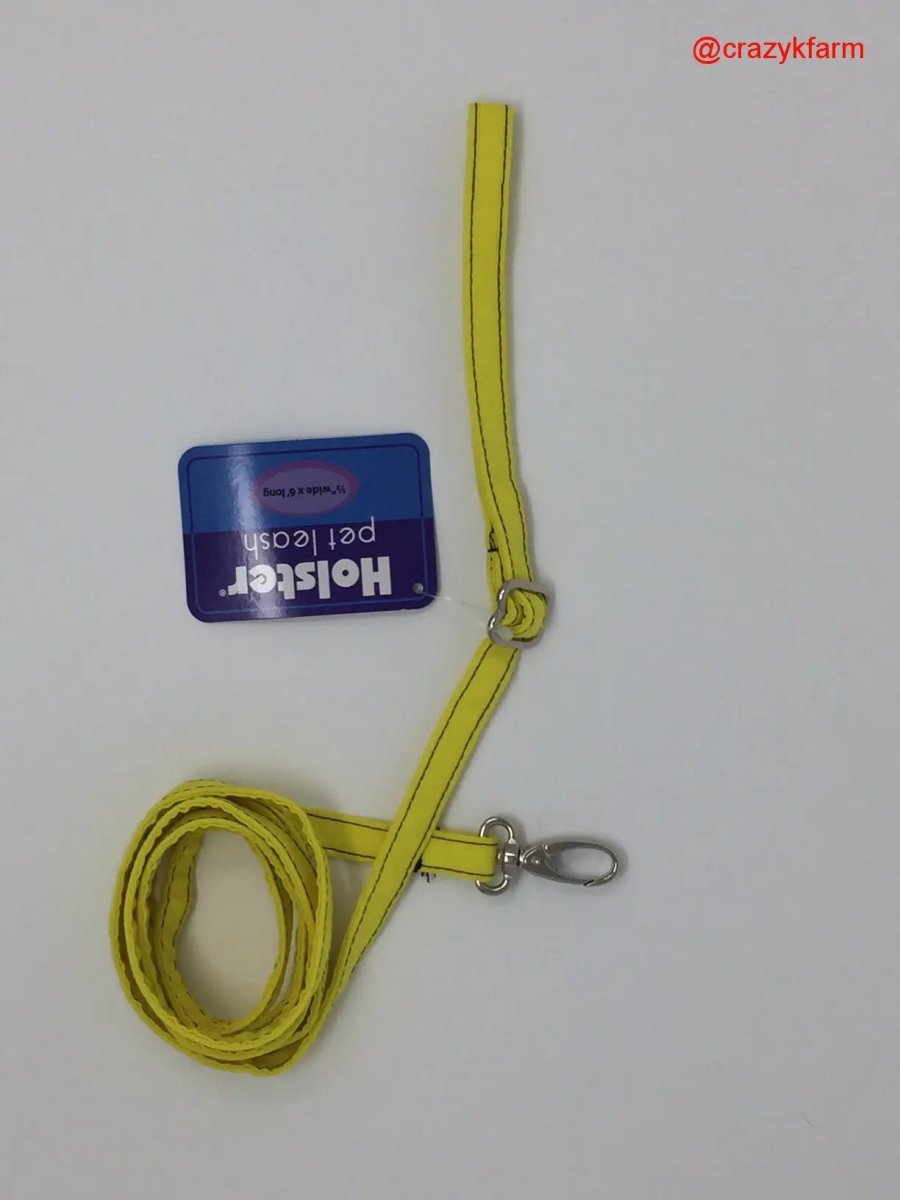 Holster Leash (Made in USA) - The Snag Bin