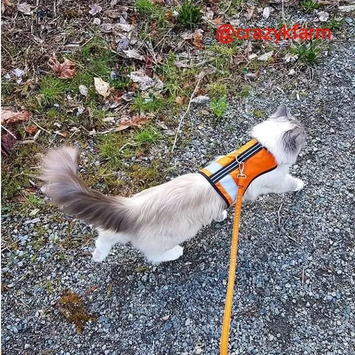 Holster Leash (Made in USA) - The Snag Bin