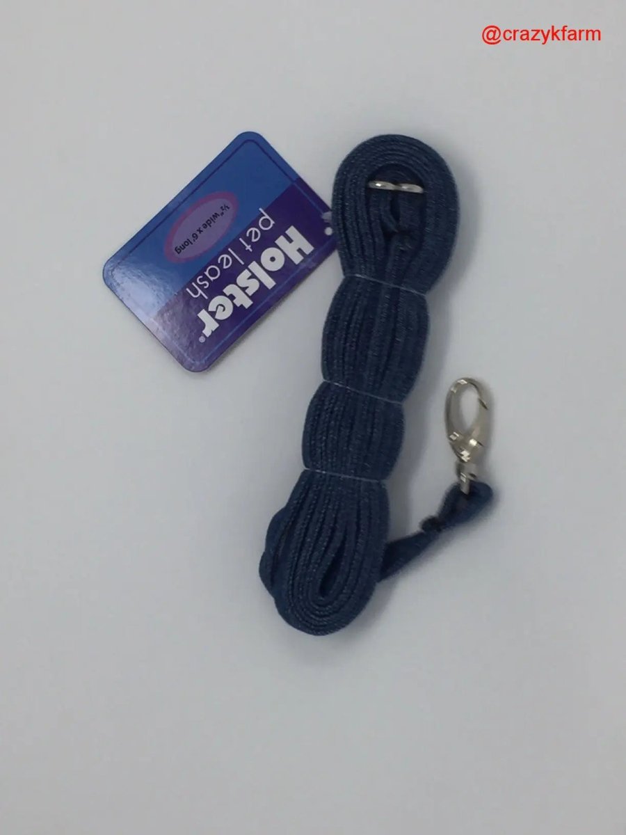 Holster Leash (Made in USA) - The Snag Bin