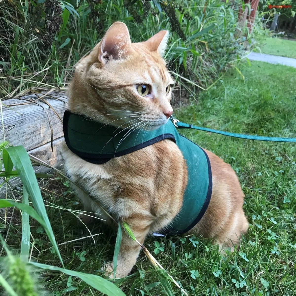 Holster Leash (Made in USA) - The Snag Bin