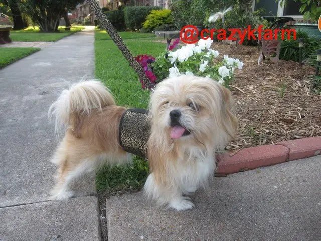 Holster Leash (Made in USA) - The Snag Bin