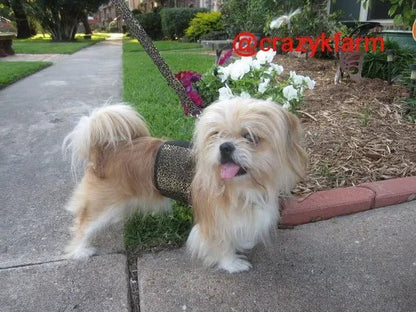 Holster Leash (Made in USA) - The Snag Bin