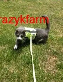 Holster Leash (Made in USA) - The Snag Bin