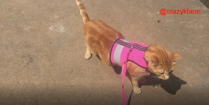 Holster Leash (Made in USA) - The Snag Bin