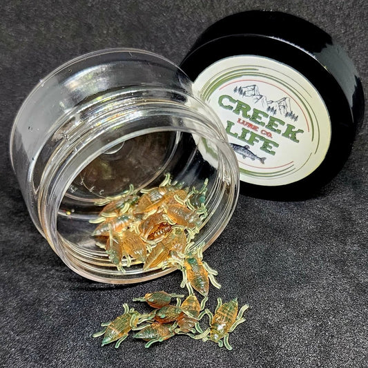 Jar of 0.5" Half Inch Micro Beetle "Toe Biter" - The Snag Bin