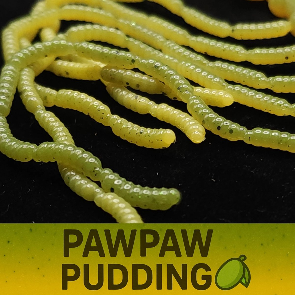 Jar of 0.5" Inch Micro Maggot Fly Larvae "The Apple Maggot" - The Snag Bin