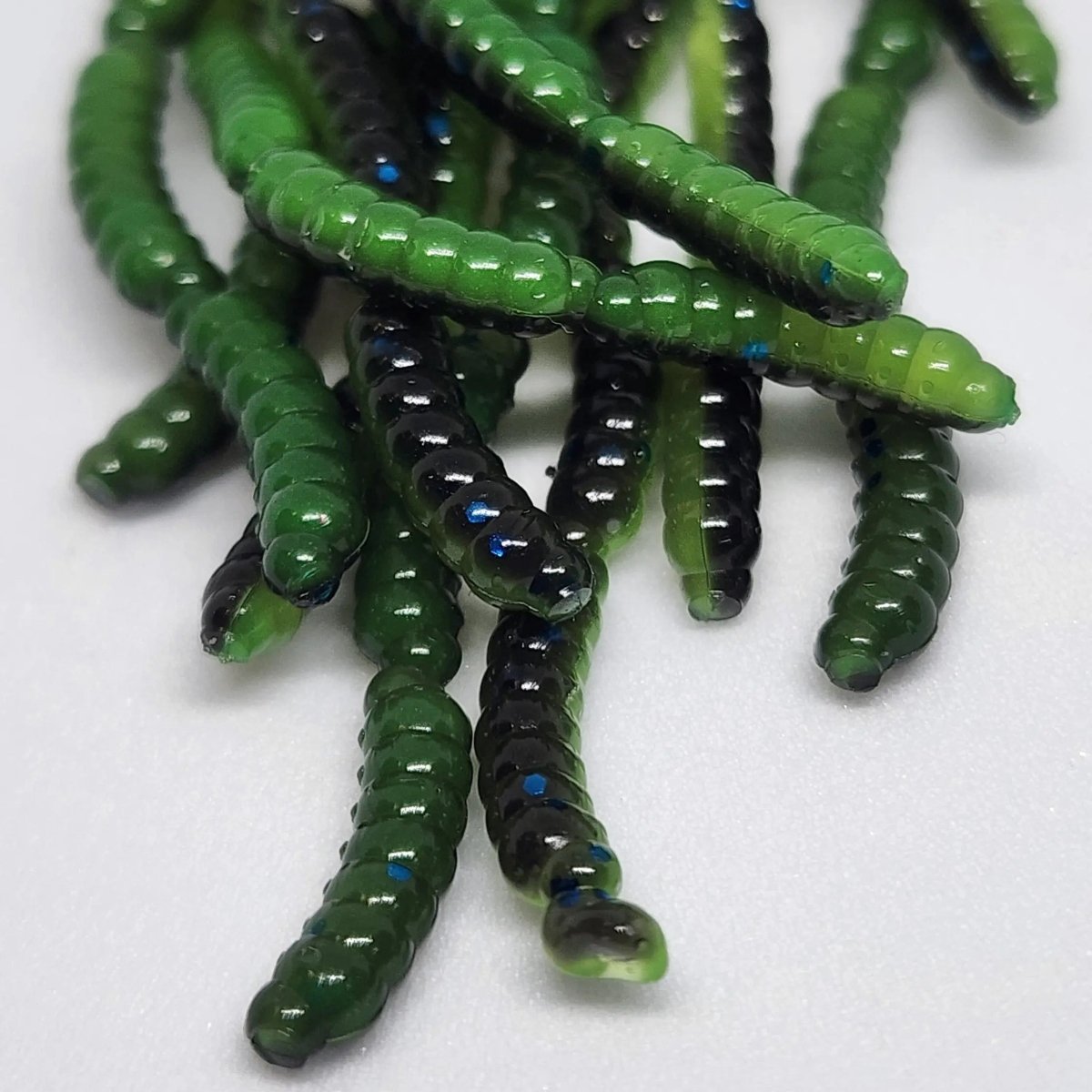 Jar of 0.5" Inch Micro Maggot Fly Larvae "The Apple Maggot" - The Snag Bin