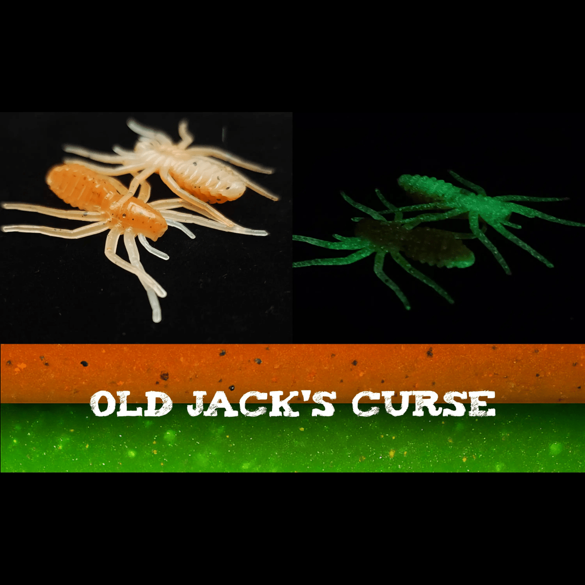 Jar of 1" Micro Spider Bait "The Writing Spider" - The Snag Bin