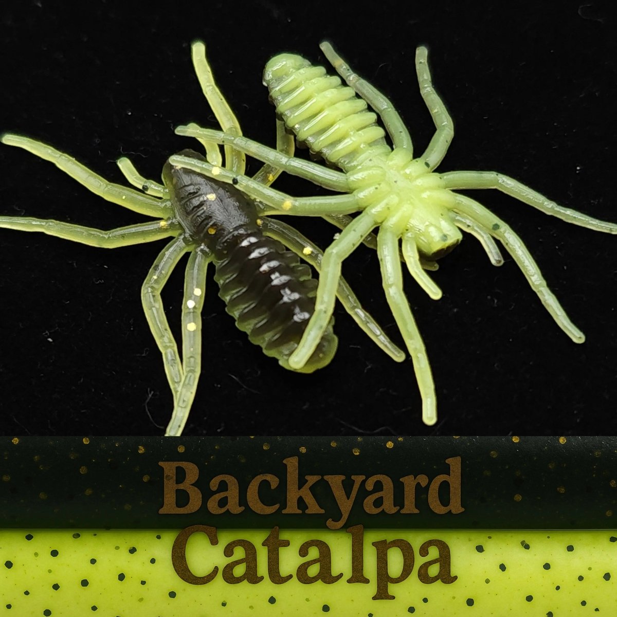 Jar of 1" Micro Spider Bait "The Writing Spider" - The Snag Bin