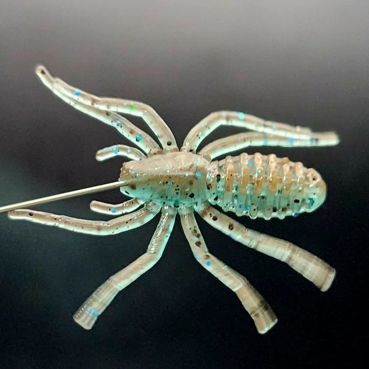 Jar of 1" Micro Spider Bait "The Writing Spider" - The Snag Bin