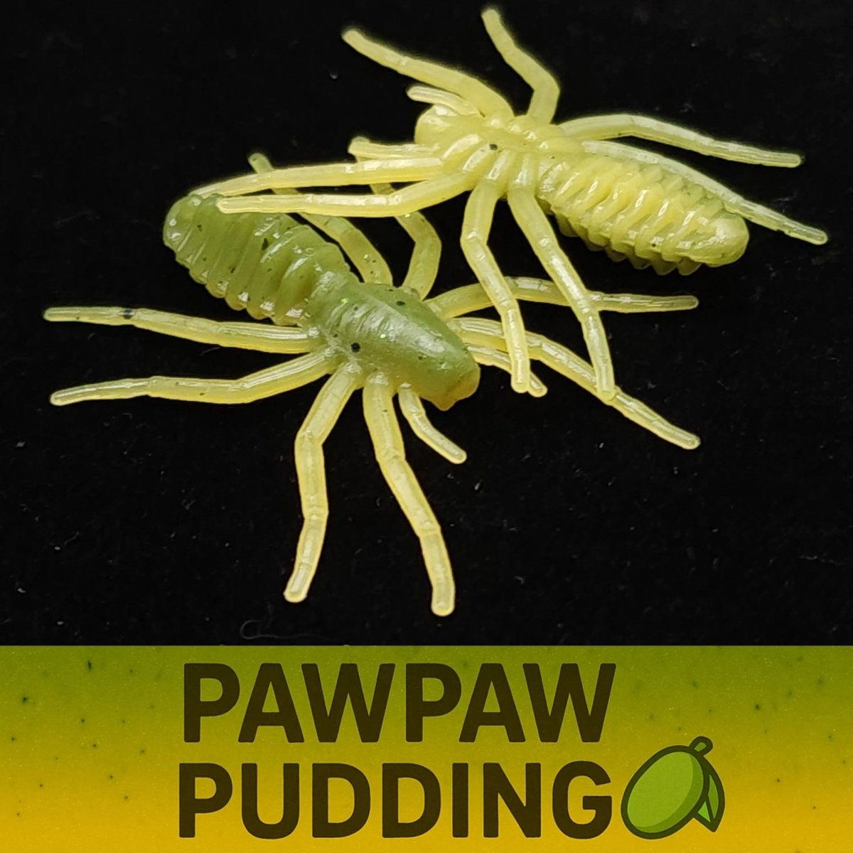 Jar of 1" Micro Spider Bait "The Writing Spider" - The Snag Bin