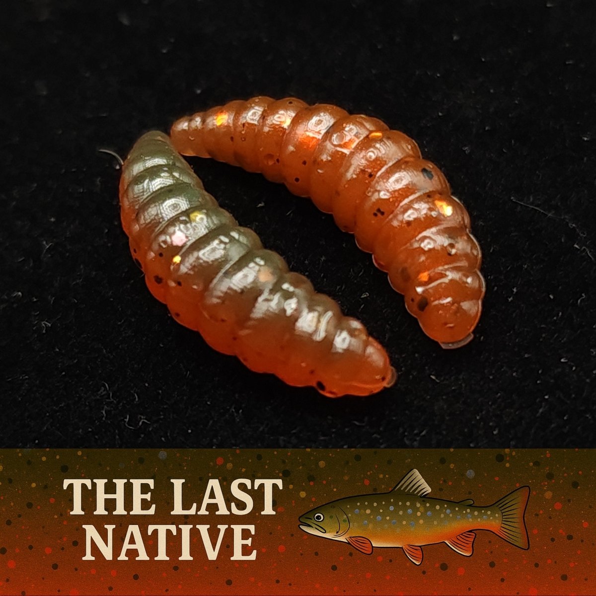 Jar of 1" Waxworm "The Tater Bug" - The Snag Bin