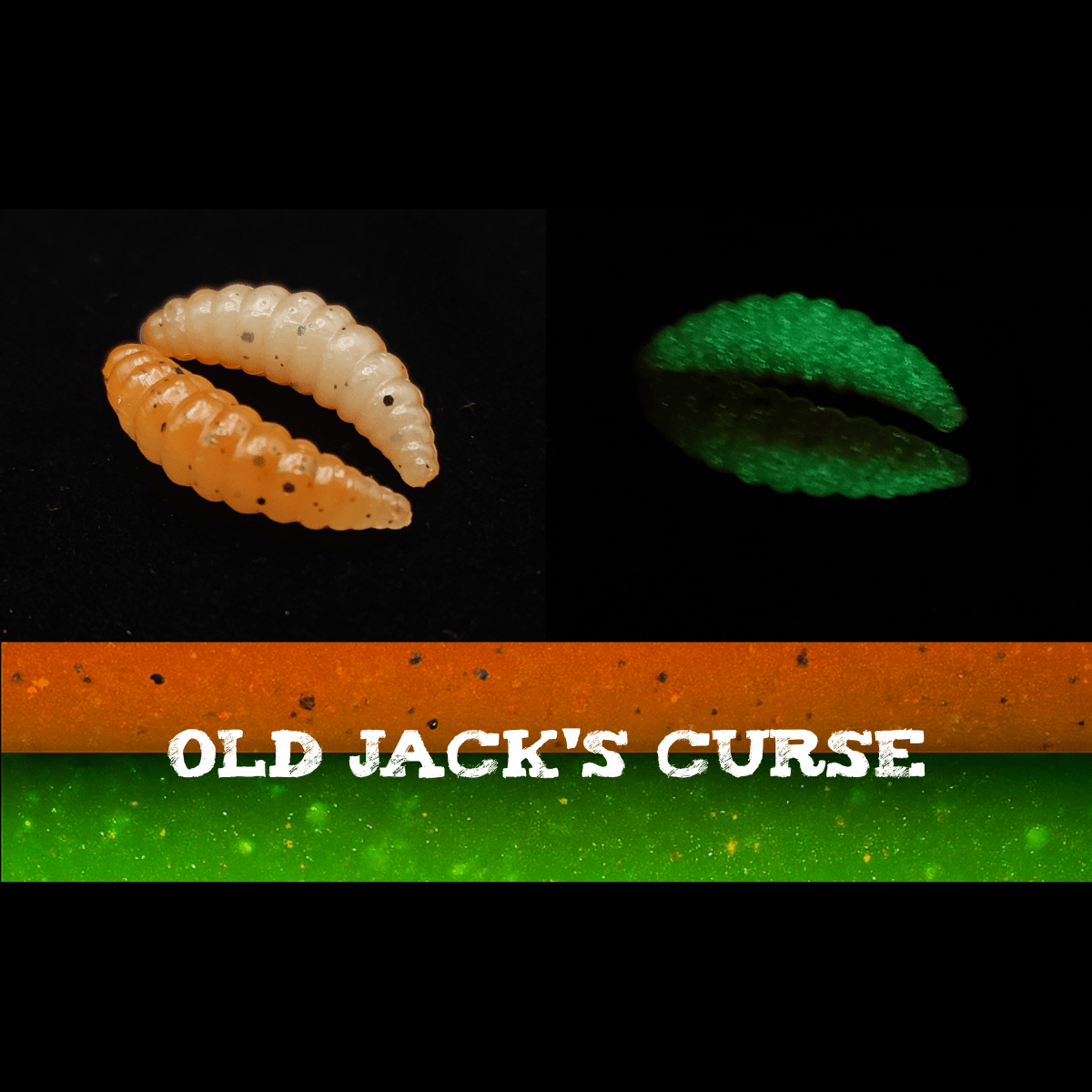 Jar of 1" Waxworm "The Tater Bug" - The Snag Bin