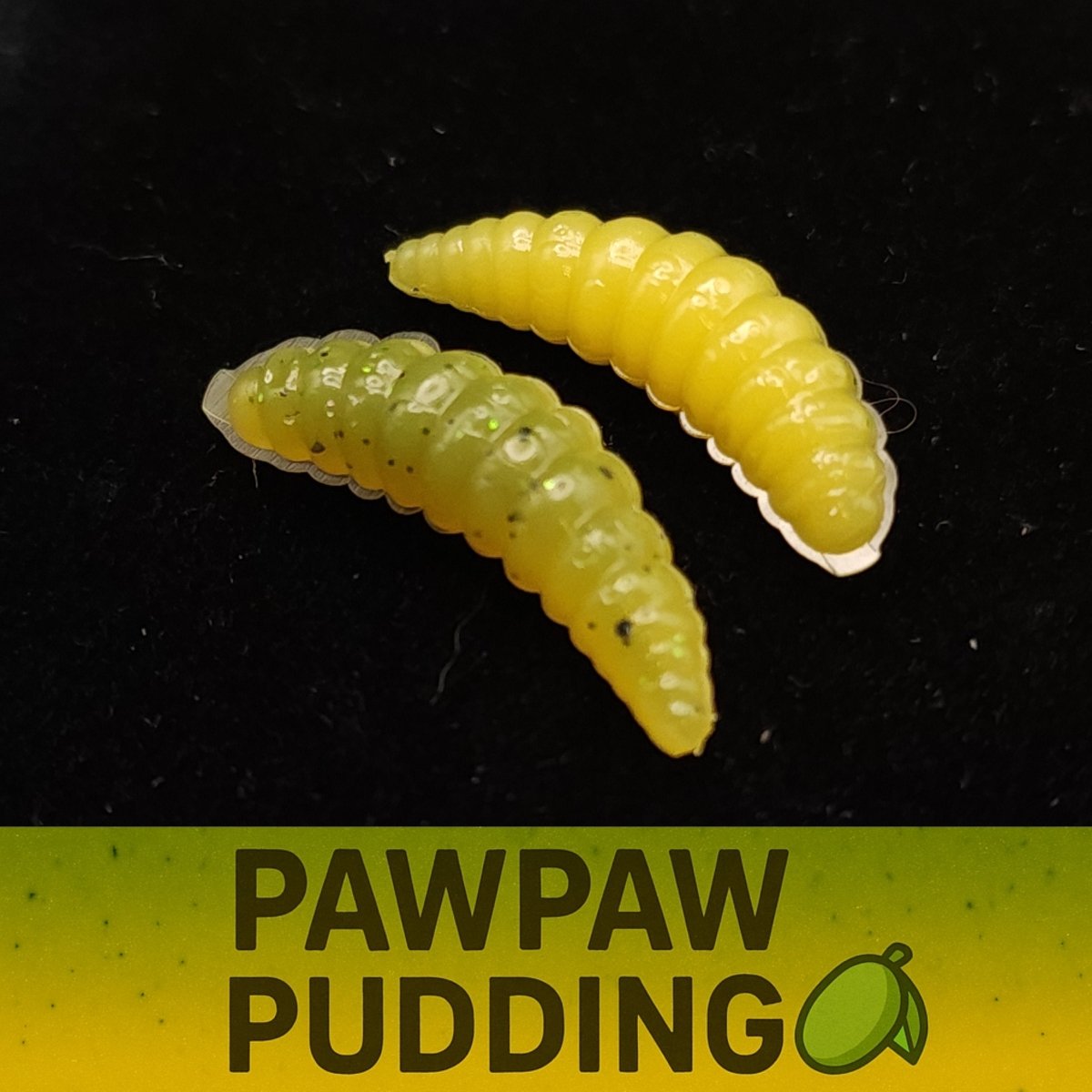 Jar of 1" Waxworm "The Tater Bug" - The Snag Bin
