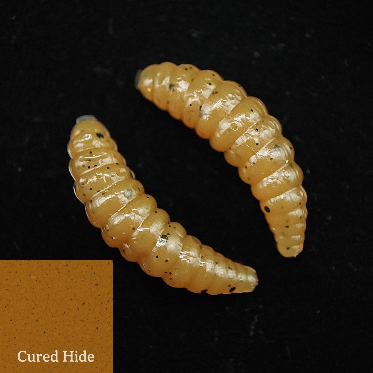 Jar of 1" Waxworm "The Tater Bug" - The Snag Bin
