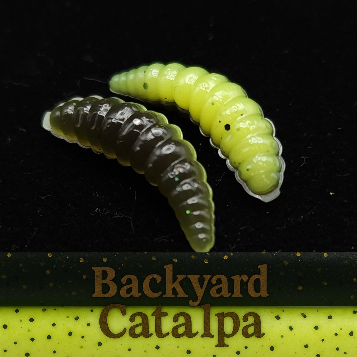 Jar of 1" Waxworm "The Tater Bug" - The Snag Bin