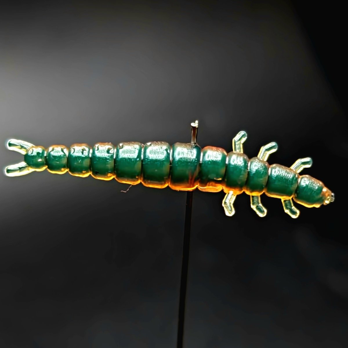 Jar of 1.3" Caddis Fly Larvae "Stream Weaver" - The Snag Bin