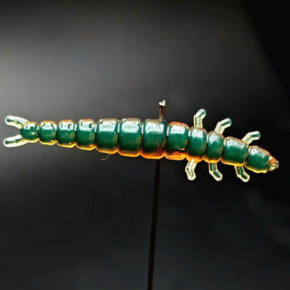 Jar of 1.3" Caddis Fly Larvae "Stream Weaver" - The Snag Bin