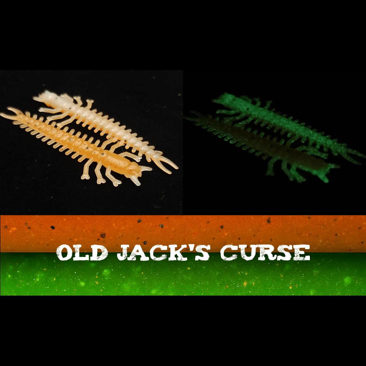 Jar of 1.8" Inch Micro Hellgrammite "The Ditch Devil" - The Snag Bin