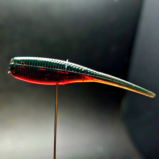 Jar of 2" Baby Shad "The Needlebutt Shad" - The Snag Bin