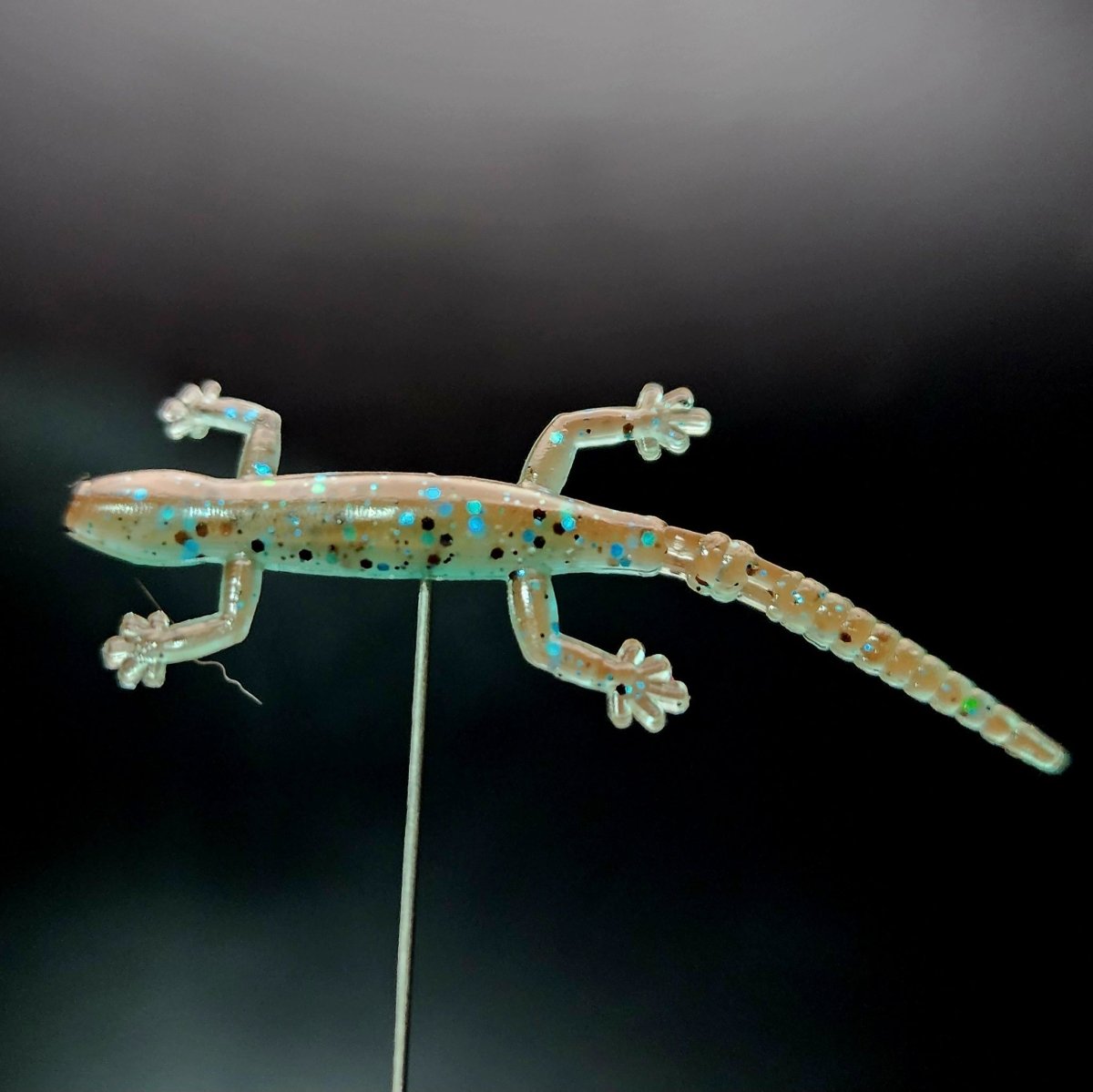 Jar of 2" Salamander "The Moss Dweller" - The Snag Bin