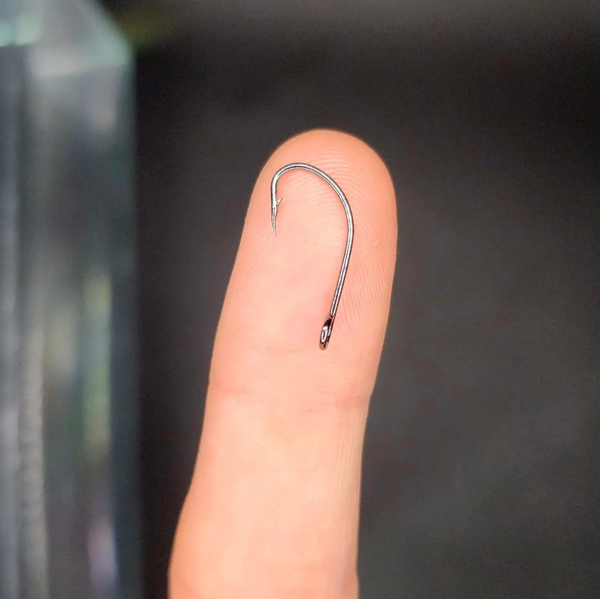 Large Eye J Hooks (10 Pack) - The Snag Bin