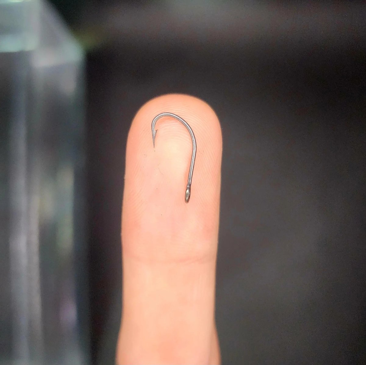 Large Eye J Hooks (10 Pack) - The Snag Bin
