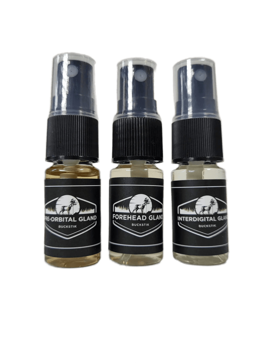 LARGE GLAND REFRESH KIT - 10ML - The Snag Bin
