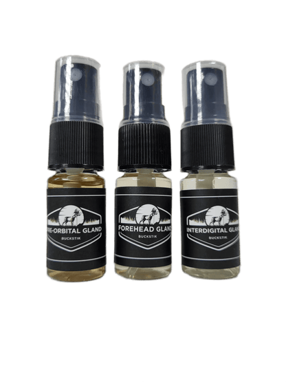 LARGE GLAND REFRESH KIT - 10ML - The Snag Bin