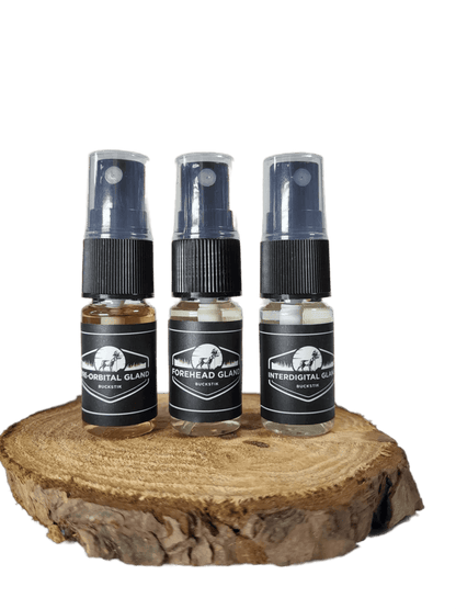 LARGE GLAND REFRESH KIT - 10ML - The Snag Bin