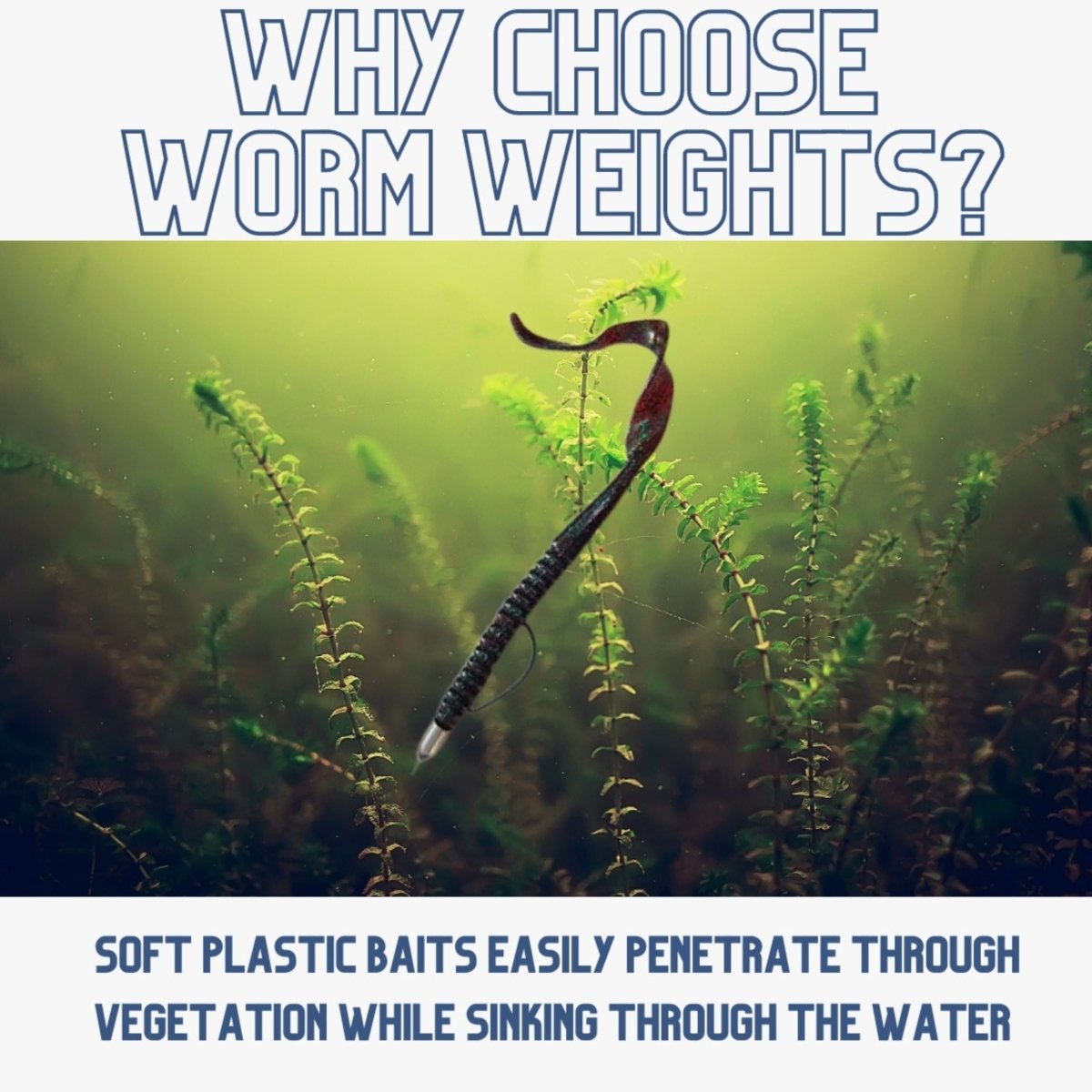 Lead Worm Weights (25 pack) - The Snag Bin