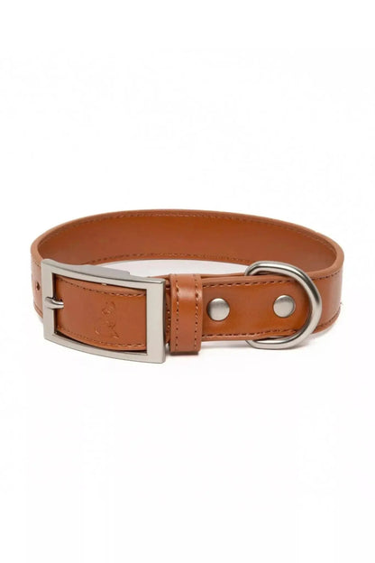 Leather Dog Collar - The Snag Bin