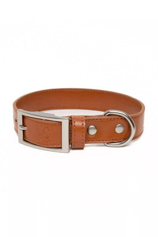 Leather Dog Collar - The Snag Bin