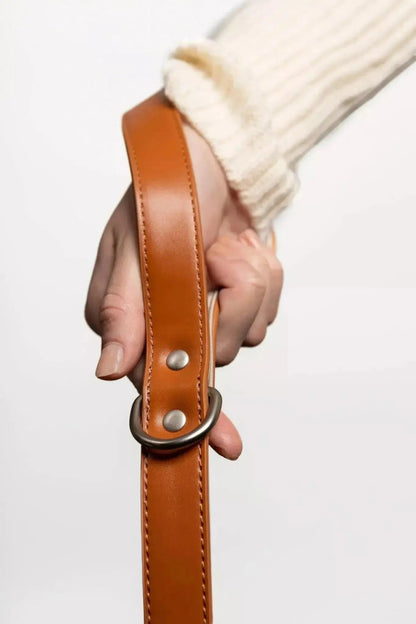 Leather Dog Leash - The Snag Bin