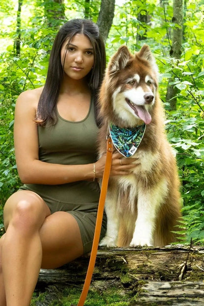 Leather Dog Leash - The Snag Bin