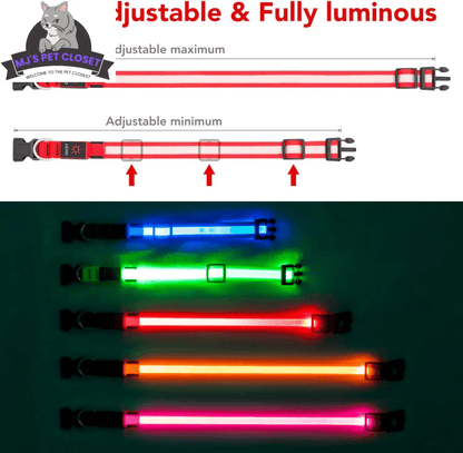 LED Dog Collar! 🌟 USB rechargeable & super safe! 🐾❤️ - The Snag Bin