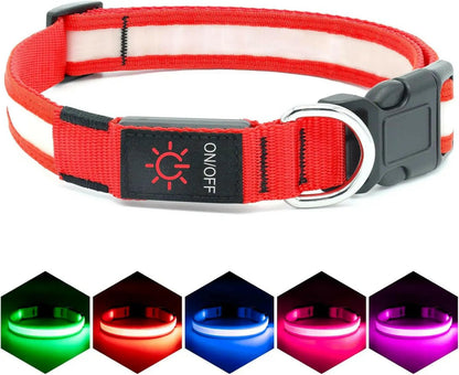 LED Dog Collar! 🌟 USB rechargeable & super safe! 🐾❤️ - The Snag Bin