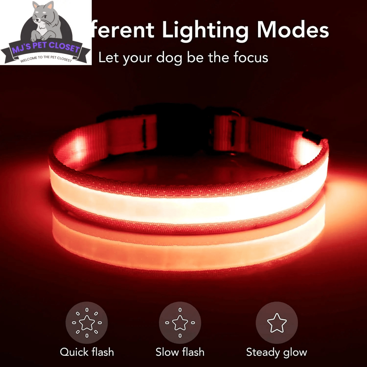 LED Dog Collar! 🌟 USB rechargeable & super safe! 🐾❤️ - The Snag Bin