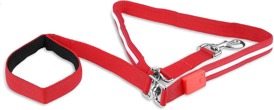 LED Dog Leash - USB Rechargeable Light, 6 Ft, Waterproof - The Snag Bin