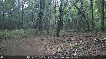 Night Vision Trail Camera - The Snag Bin