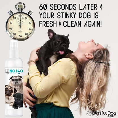 No H20 Spray Pet Shampoo - The Snag Bin