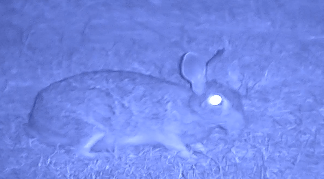 NVx7 Digital Night Sight - The Snag Bin