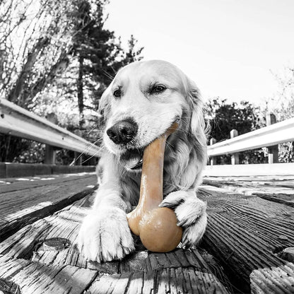 Nylon Dog Bone for Aggressive Chewers - The Snag Bin
