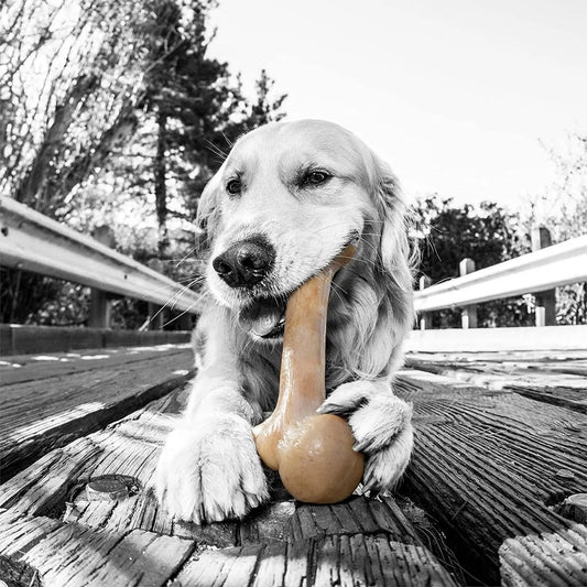 Nylon Dog Bone for Aggressive Chewers - The Snag Bin