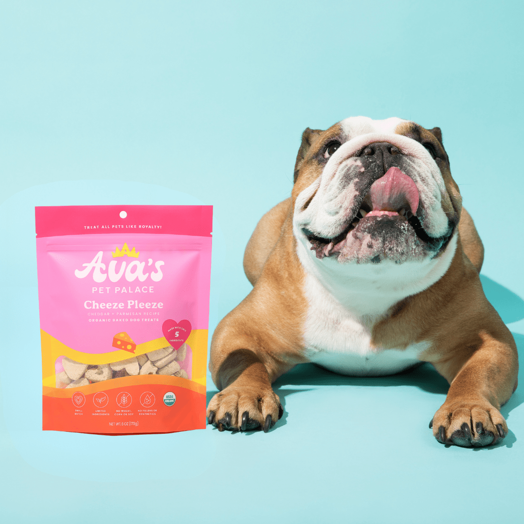 Organic Baked Dog Treats - Cheeze Pleeze - The Snag Bin