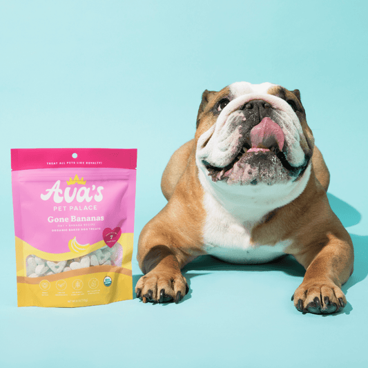 Organic Baked Dog Treats - Gone Bananas - The Snag Bin