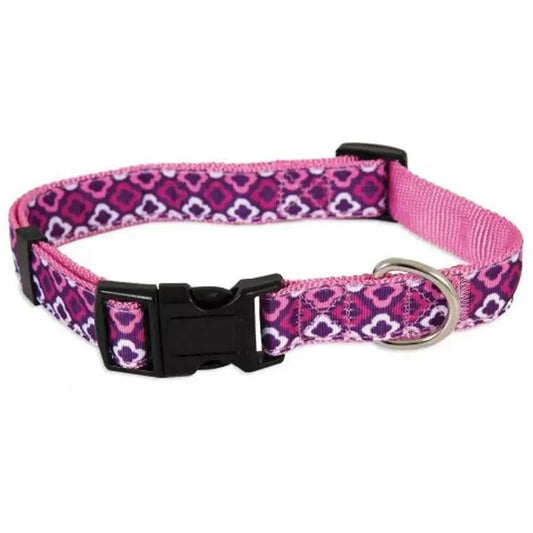 pet dog collar - The Snag Bin