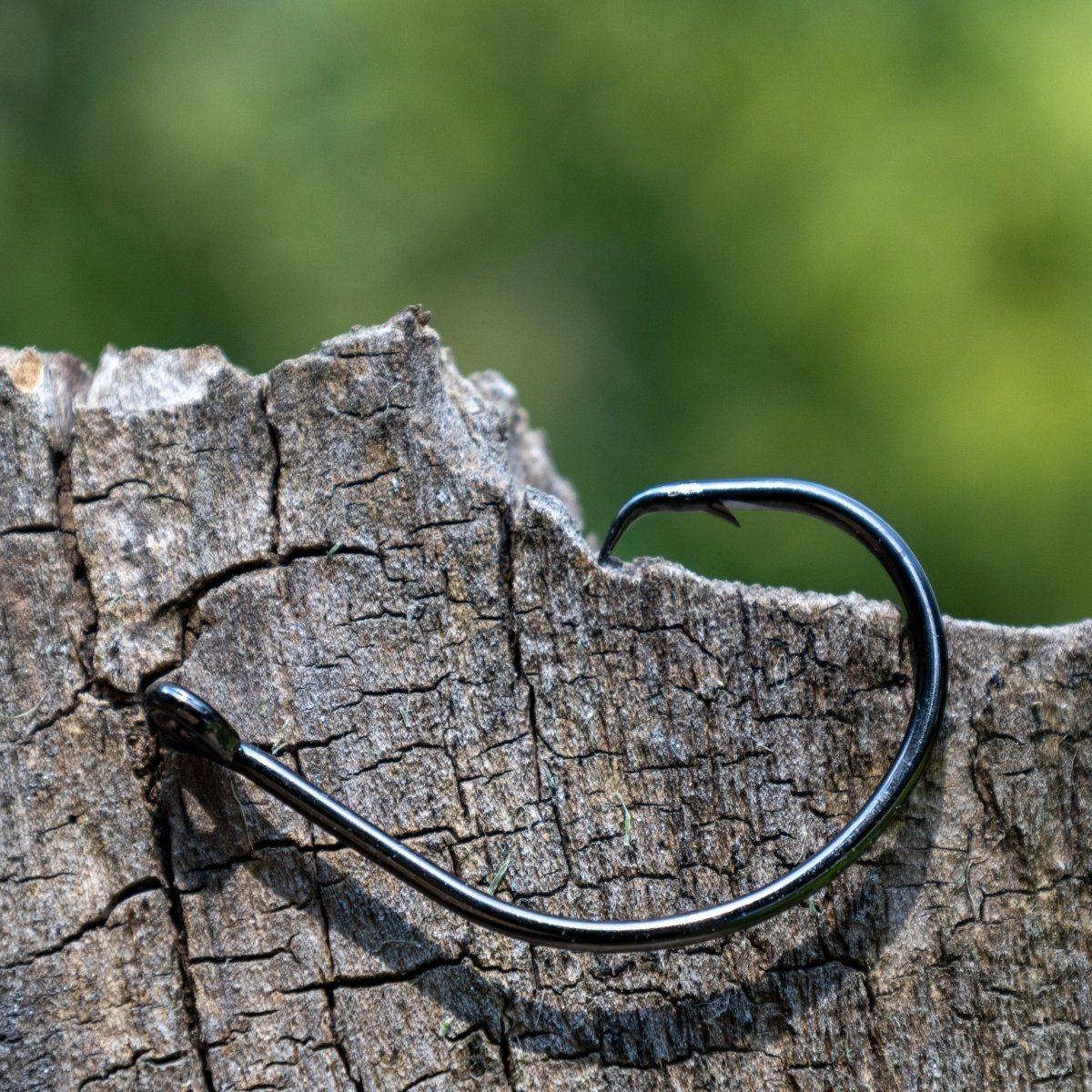 Premium Circle Hooks - 25 Pack - The Snag Bin