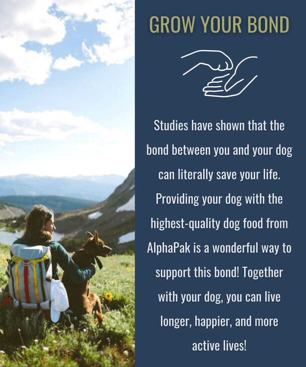 PREMIUM RAW FREEZE DRIED DOG FOOD - The Snag Bin